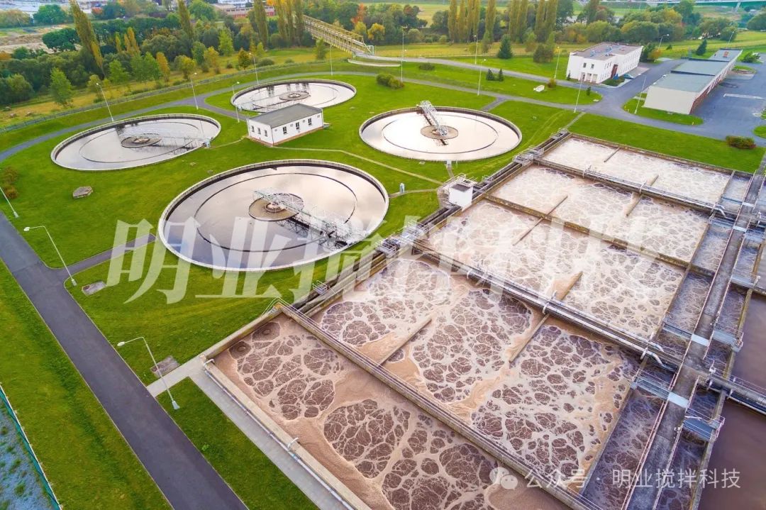 307173069511378.jpg 微信圖片_20241104123826.jpg